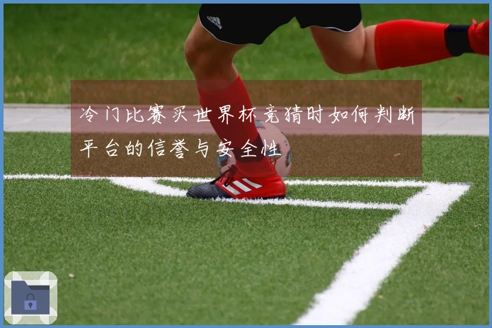 冷门比赛买世界杯竞猜时如何判断平台的信誉与安全性