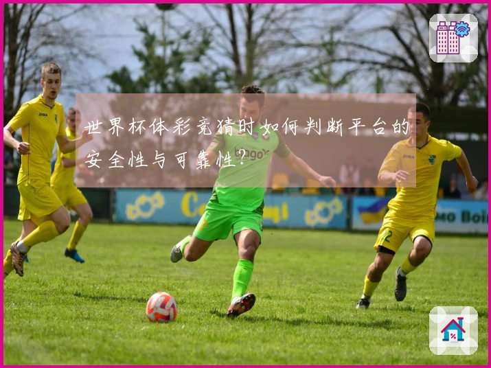 世界杯体彩竞猜时如何判断平台的安全性与可靠性？