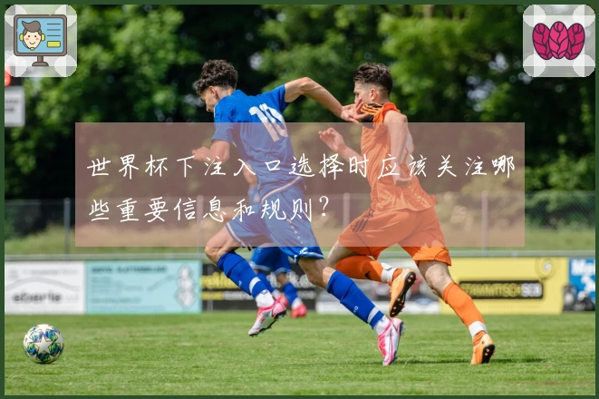 世界杯下注入口选择时应该关注哪些重要信息和规则？