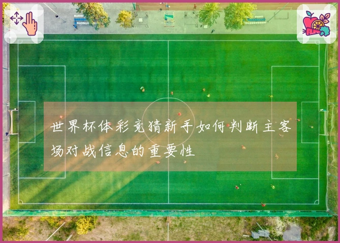 世界杯体彩竞猜新手如何判断主客场对战信息的重要性