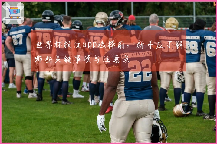 世界杯投注app选择前，新手应了解哪些关键事项与注意点