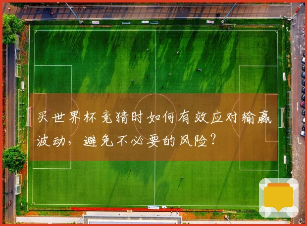 买世界杯竞猜时如何有效应对输赢波动，避免不必要的风险？
