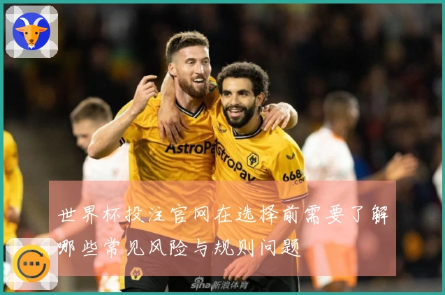 世界杯投注官网在选择前需要了解哪些常见风险与规则问题
