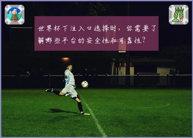 世界杯下注入口选择时，你需要了解哪些平台的安全性和可靠性？