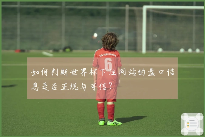 如何判断世界杯下注网站的盘口信息是否正规与可信？