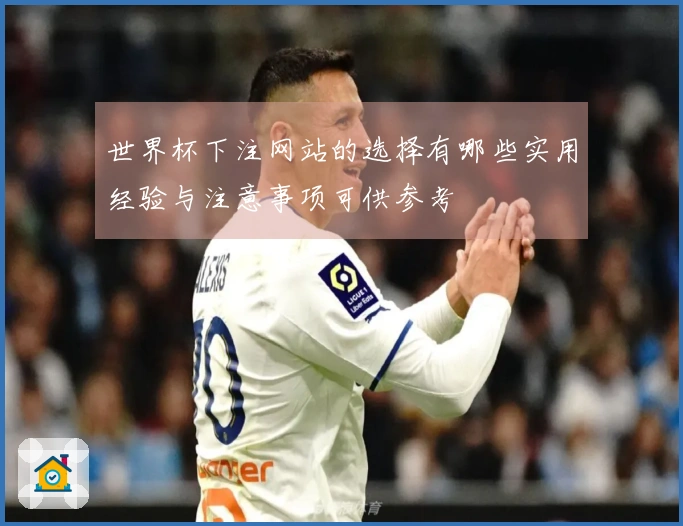 世界杯下注网站的选择有哪些实用经验与注意事项可供参考