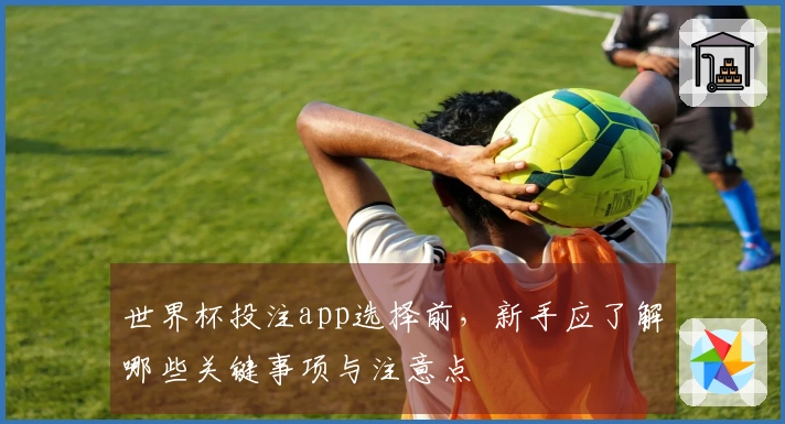 世界杯投注app选择前，新手应了解哪些关键事项与注意点