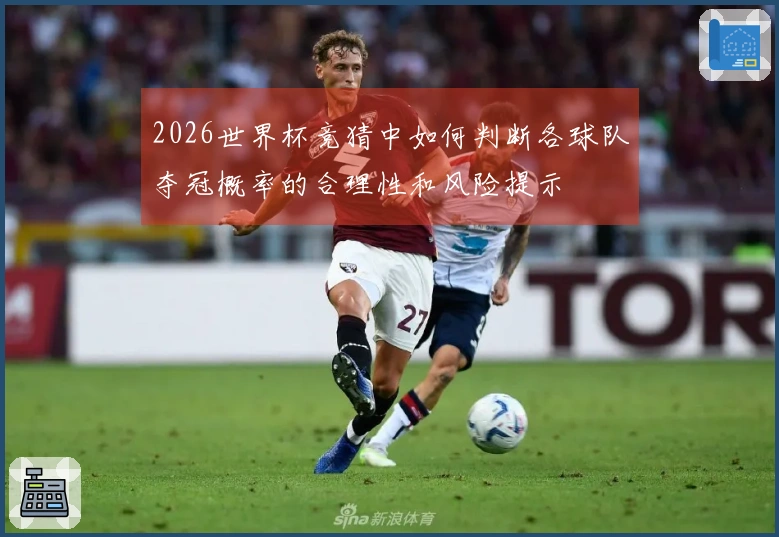 2026世界杯竞猜中如何判断各球队夺冠概率的合理性和风险提示