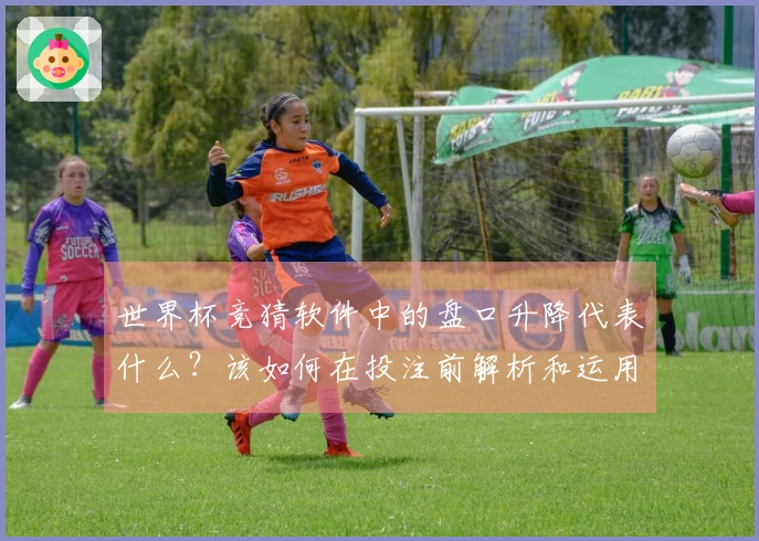 世界杯竞猜软件中的盘口升降代表什么？该如何在投注前解析和运用？