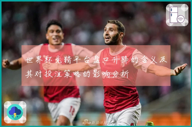 世界杯竞猜平台盘口升降的含义及其对投注策略的影响分析
