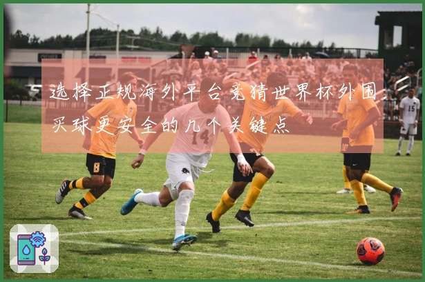 选择正规海外平台竞猜世界杯外围买球更安全的几个关键点