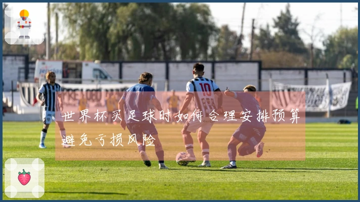 世界杯买足球时如何合理安排预算避免亏损风险