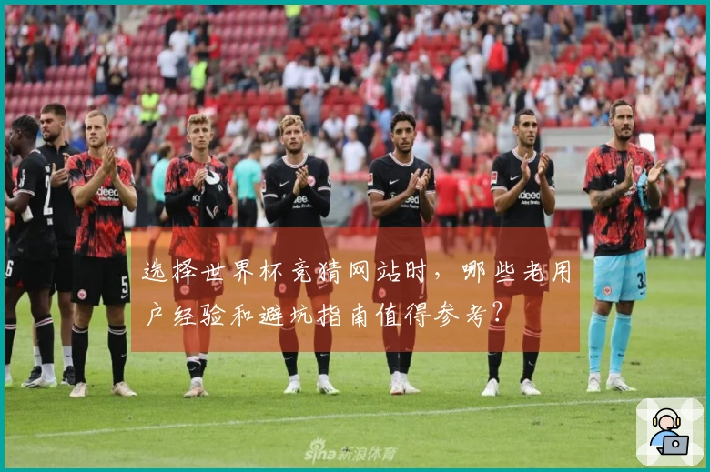 选择世界杯竞猜网站时，哪些老用户经验和避坑指南值得参考？
