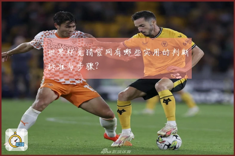 世界杯竞猜官网有哪些实用的判断标准与步骤？