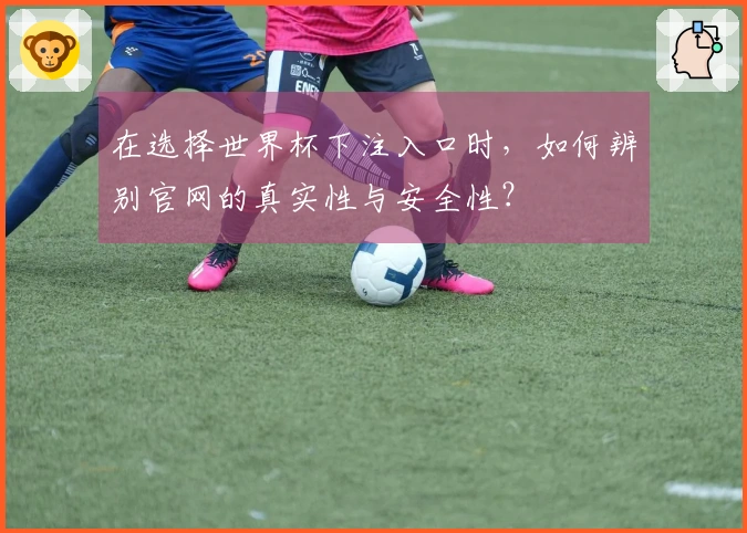 在选择世界杯下注入口时，如何辨别官网的真实性与安全性？
