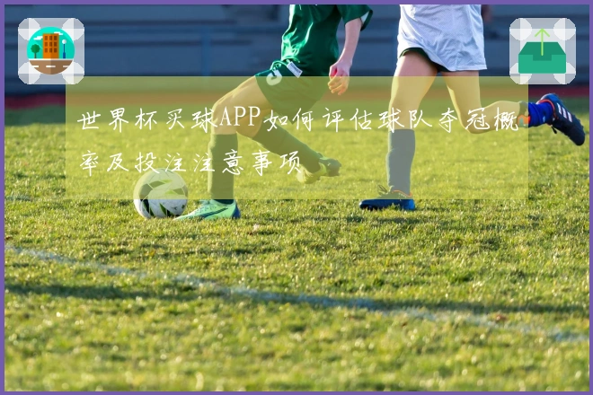 世界杯买球APP如何评估球队夺冠概率及投注注意事项