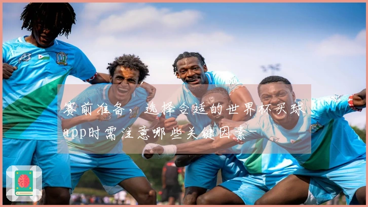 赛前准备，选择合适的世界杯买球app时需注意哪些关键因素-