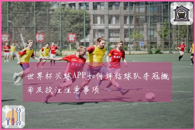 世界杯买球APP如何评估球队夺冠概率及投注注意事项