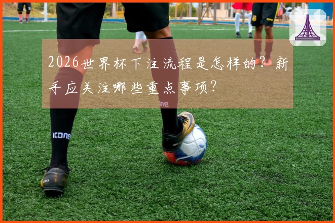2026世界杯下注流程是怎样的？新手应关注哪些重点事项？
